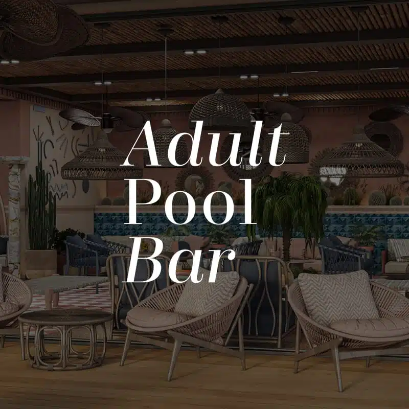 Adult Pool Bar